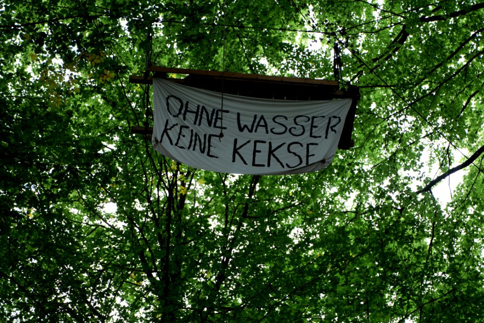 Dannenrode forest occupation 2020-08-21 109