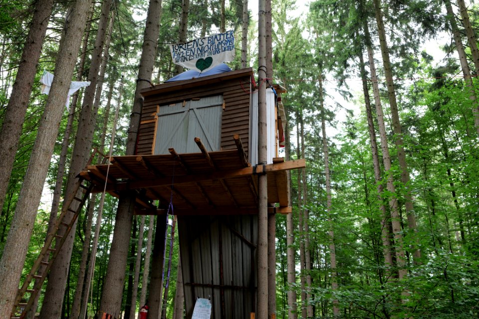 Dannenrode forest occupation 2020-08-21 138