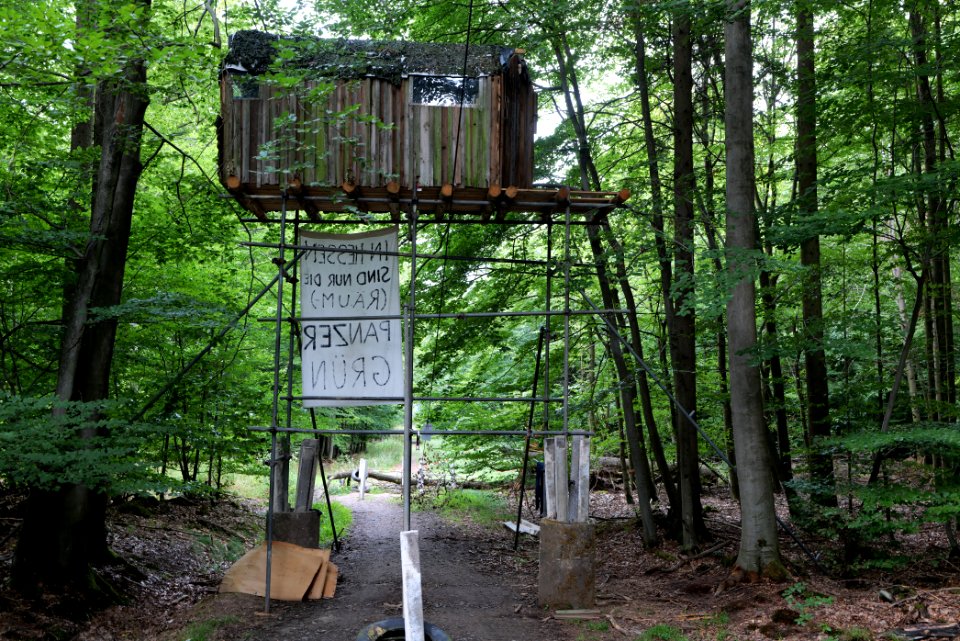 Dannenrode forest occupation 2020-08-21 134