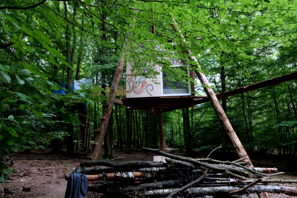 Dannenrode forest occupation 2020-08-21 131