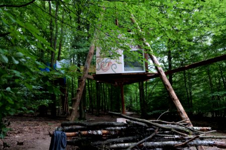 Dannenrode forest occupation 2020-08-21 131