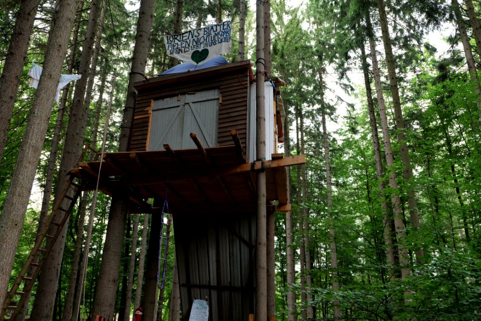 Dannenrode forest occupation 2020-08-21 136