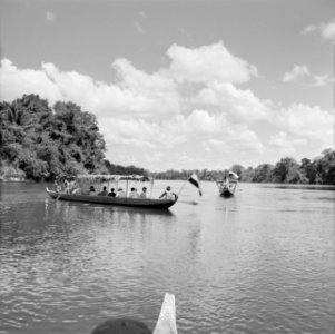 De koninklijke corjaal op de Surinamerivier, Bestanddeelnr 252-4379