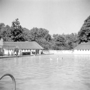 De koninklijke familie in het zwembad in het park van het paleis, Bestanddeelnr 255-7856