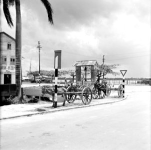 De Heiligenweg in Paramaribo met ezelskarren. In het midden een waterput, Bestanddeelnr 252-4941