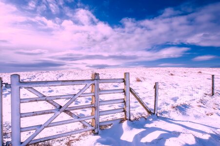 Winter fence gate photo
