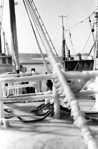 De KW 43 , de Rijnmond 2 , aanvaring op Noordzee, hier in de haven van IJmuiden, Bestanddeelnr 914-7281