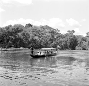 De koninklijke corjaal op de Surinamerivier, Bestanddeelnr 252-4363