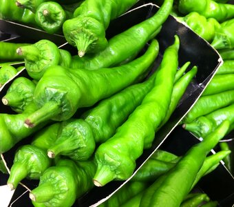 Vegetables department department store