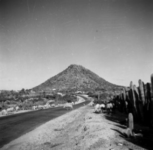 De Hooiberg op Aruba, Bestanddeelnr 252-7942 photo