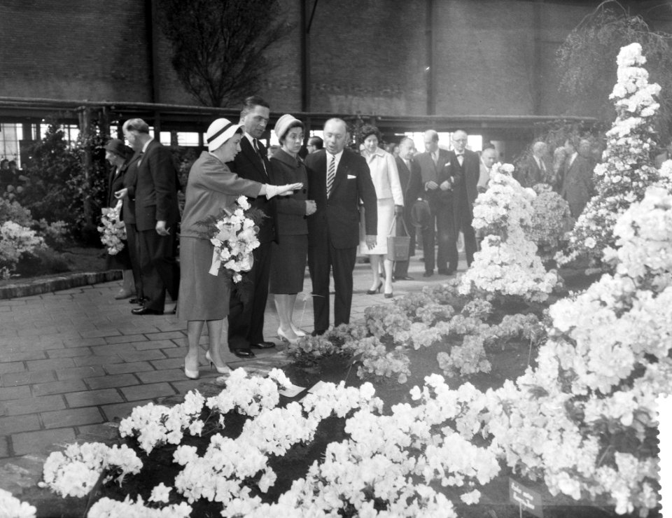 De Lente juicht door mr W G M Marijnen, Bestanddeelnr 911-1711