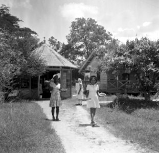 De leprozerie Bethesda van de Protestantse Vereniging tot Verpleging van Leprali, Bestanddeelnr 252-6261