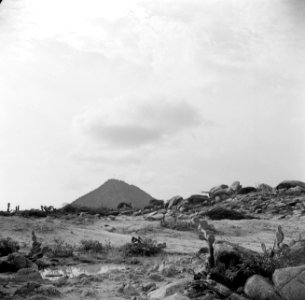 De Hooiberg op Aruba, Bestanddeelnr 252-3431 photo