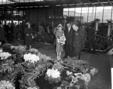 De Lente juicht door mr W G M Marijnen, Bestanddeelnr 911-1712