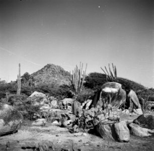 De Hooiberg op Aruba, Bestanddeelnr 252-7936 photo