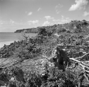 De kust van Sint-Eustatius, Bestanddeelnr 252-8316