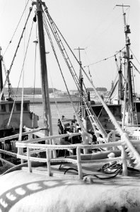 De KW 43 , de Rijnmond 2 , aanvaring op Noordzee, hier in de haven van IJmuiden, Bestanddeelnr 914-7279