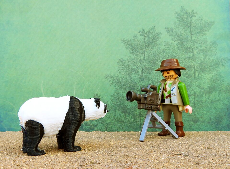 Animal photography professional