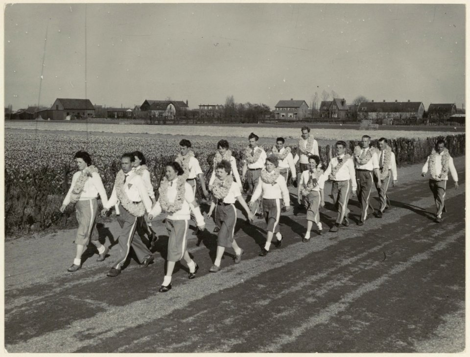 De Hillegomse Wandelvereniging maakt een wandeltocht door de bollenstreek