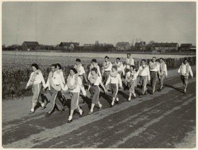 De Hillegomse Wandelvereniging maakt een wandeltocht door de bollenstreek