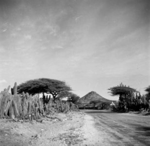 De Hooiberg op Aruba, Bestanddeelnr 252-7941 photo