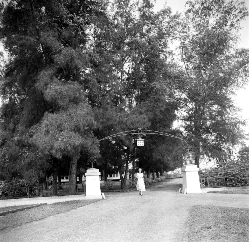 De ingangspoort van de directeurswoning 'Casa Blanca', van de Surinaamse bauxiet, Bestanddeelnr 252-6978