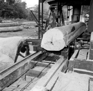 De houtzagerij met een cirkelzaag, Bestanddeelnr 252-4833