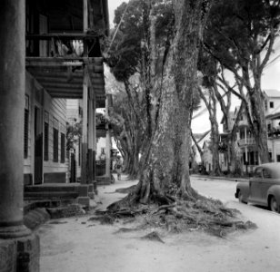 De Heerenstraat in Paramaribo, Bestanddeelnr 252-6111