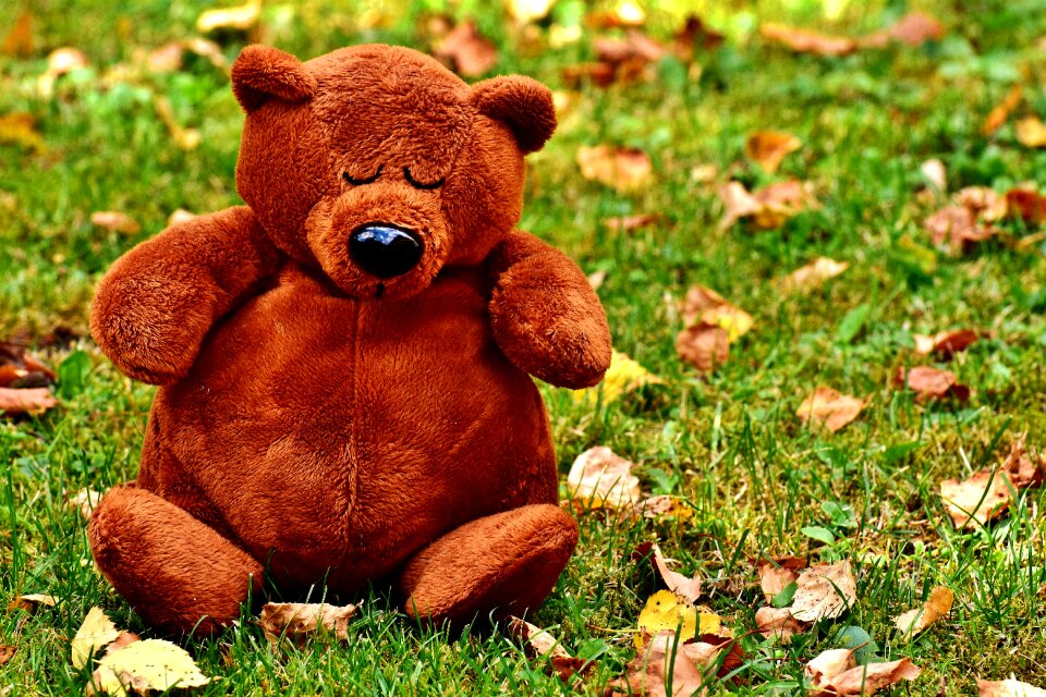 Soft toy teddy bear plush