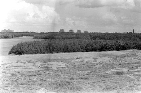 De Heuvel in Bosplan, Bestanddeelnr 919-4864