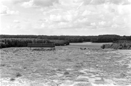 De Heuvel in Bosplan, Bestanddeelnr 919-4863