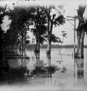 De inundaties bij Soerabaja. Slechts de bomen geven aan waar de grote weg loopt , Bestanddeelnr 10941