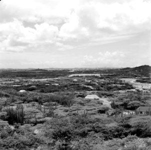 De omgeving van Julianadorp, Bestanddeelnr 252-3204