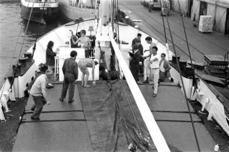 De Israelische vredespiloot Abie Nathan schildert zijn Nederland gekochte schip , Bestanddeelnr 922-5314