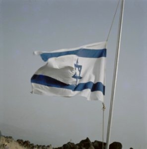 De Israelische vlag halfstok, Bestanddeelnr 255-9214