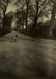 De Kloppersing ziende naar het westen met de oude margarine-fabriek v, Inventarisnummer NL-HlmNHA 1100 KNA006005566
