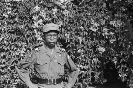 De onderscheiden sergeant F. Timotheus, Bestanddeelnr 319-5-5