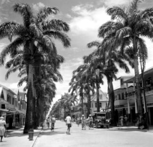 De Jodenbreestraat in Paramaribo, Bestanddeelnr 252-6151