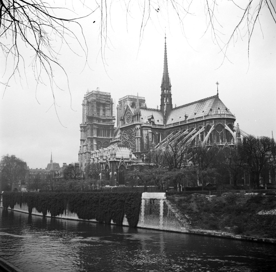 De Notre Dame op de Île de la Cité, een eiland in de rivier de Seine, Bestanddeelnr 254-0219