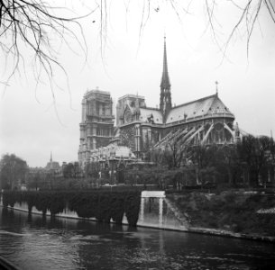 De Notre Dame op de Île de la Cité, een eiland in de rivier de Seine, Bestanddeelnr 254-0219
