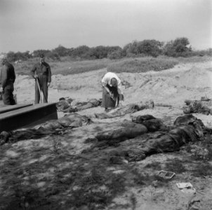 De Ondergrondse vond in duinen bij Overveen een massagraf van 104 gefusilleerde , Bestanddeelnr 900-3301