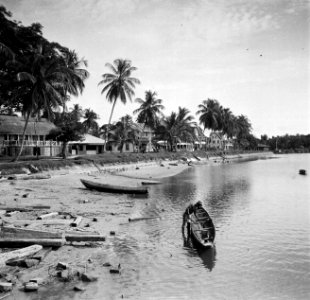 De oever van de Marowijnerivier bij Albina in Suriname, Bestanddeelnr 252-6636