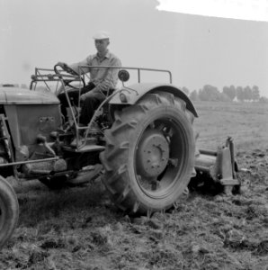 De oogst 1964, de werkzaamheden op het land, Bestanddeelnr 916-6705