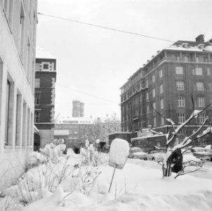 De Max-Josephstraße in de sneeuw, Bestanddeelnr 254-3724