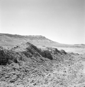 De op een heuvel gelegen ruines van de stad Avdat gezien vanuit het dal, Bestanddeelnr 255-3305