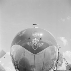 De neus van een KLM Convair 240 met het KLM embleem onder het zoeklicht op de lu, Bestanddeelnr 255-8941