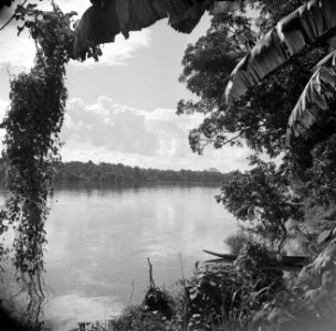 De Marowijnerivier bij Langetabbetje in Suriname, Bestanddeelnr 252-6668