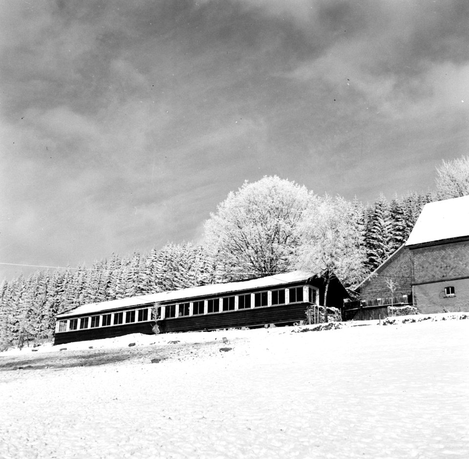 De observatiepost van boswachterij Ihrige, post wingeshausen in de sneeuw, Bestanddeelnr 254-3425