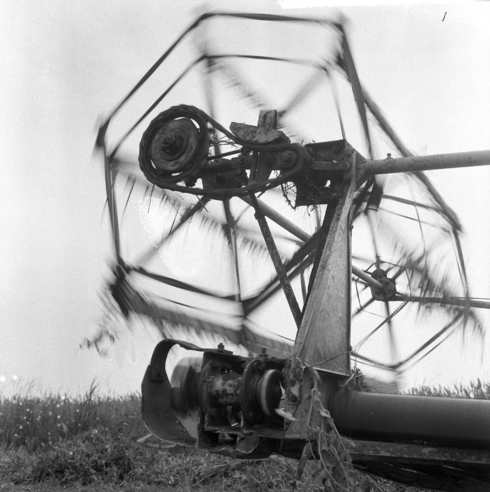 De oogst 1964, de oogstwerkzaamheden op het land, Bestanddeelnr 916-6699