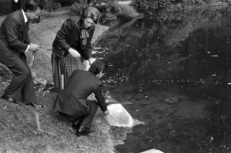 De karpers worden in het water gelaten, Bestanddeelnr 931-0428